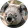 Kinnat Gagné profile picture